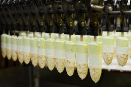 KIDO tăng lãi đột biến Abc 0181 Jpg