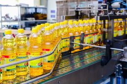 KIDO Group reports steady sales in oil and frozen businesses Qaa 0325