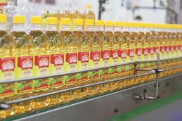 Kido: Được gì sau chuyển đổi? 10741 Thumb